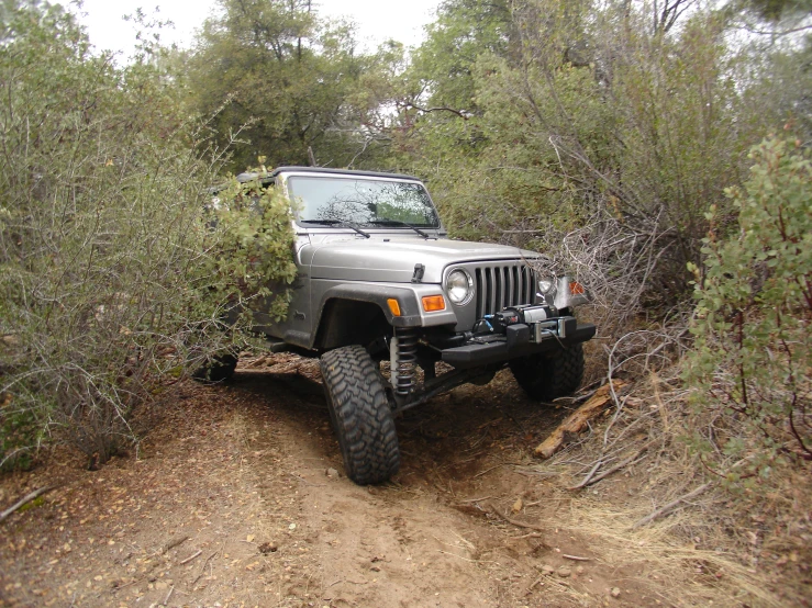 jeep driving on road near bush on partly forested trail