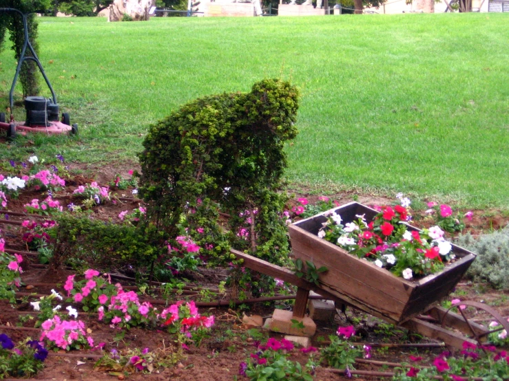 an old wheel barrow sitting in a yard with a garden