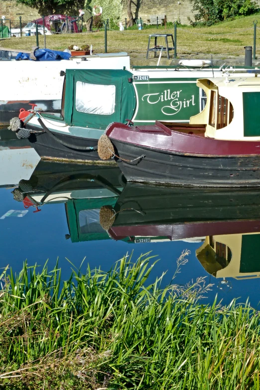 boats are lined up on the water's edge