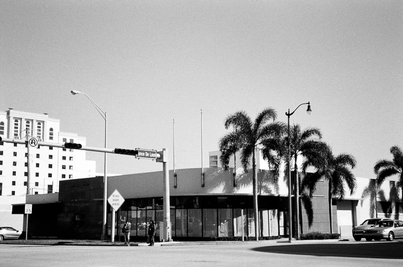 a street with many palm trees next to a building