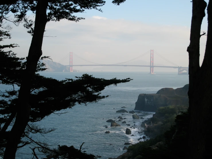 the golden gate bridge can be seen through the trees