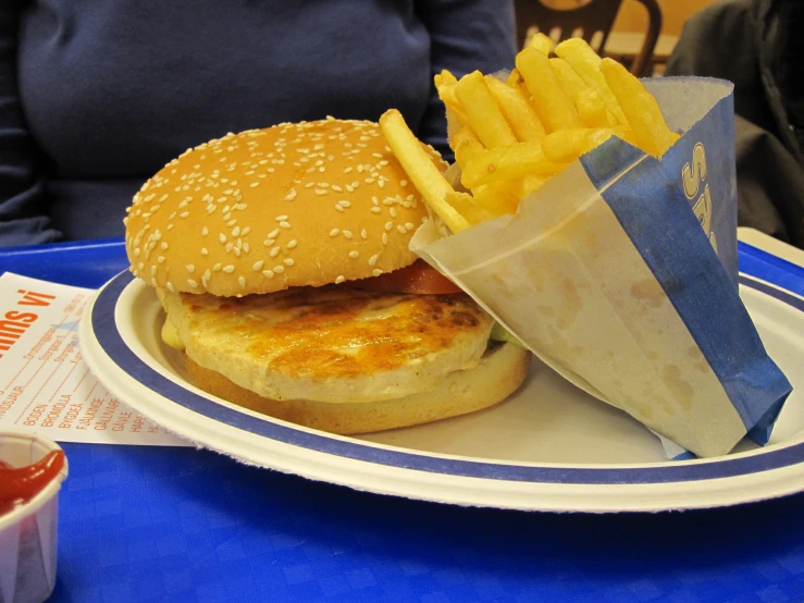 an image of a hamburger and fries on the plate