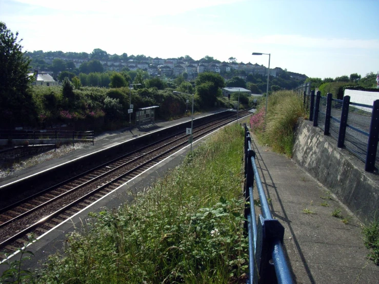 a rail road track and some trees on it