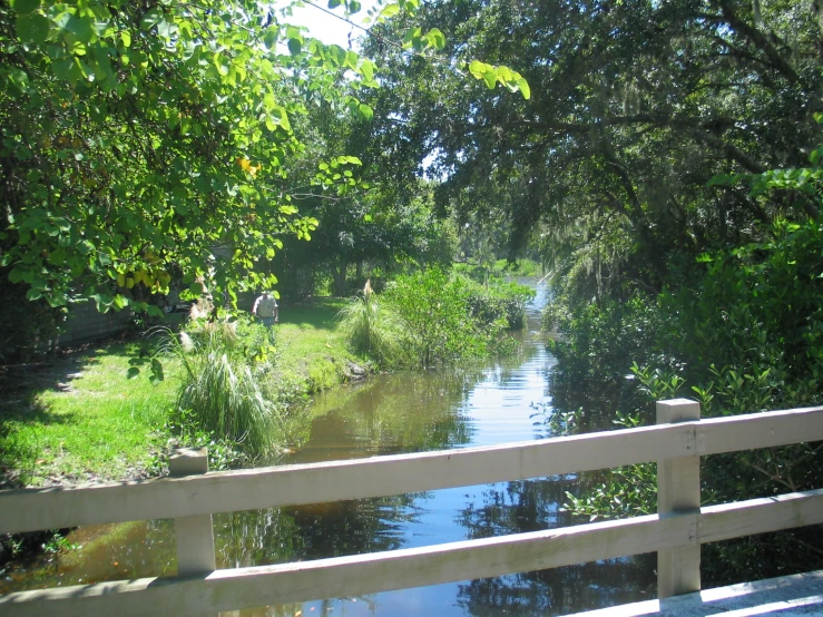 a small bridge over a creek in the forest