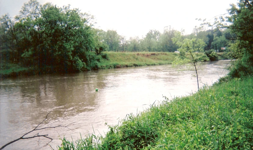 the river runs swiftly and has grass on both sides