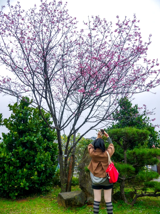 a person holding a bag is in front of a tree