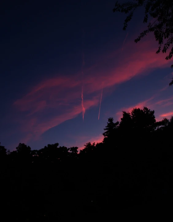 sunset with pink and purple clouds and some dark trees