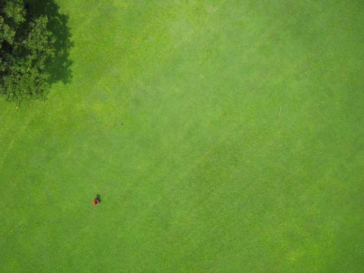 a lone red object in an open field