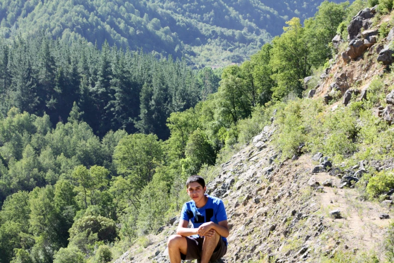  sitting on a rock outcropping with trees in the background