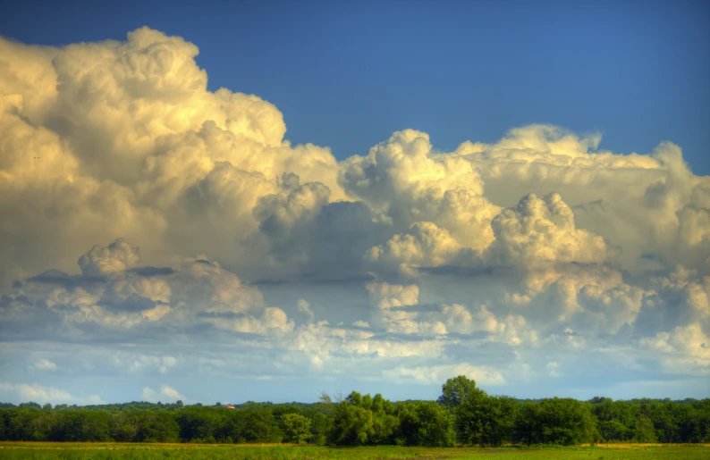 a view of a herd of animals in a field under storm clouds