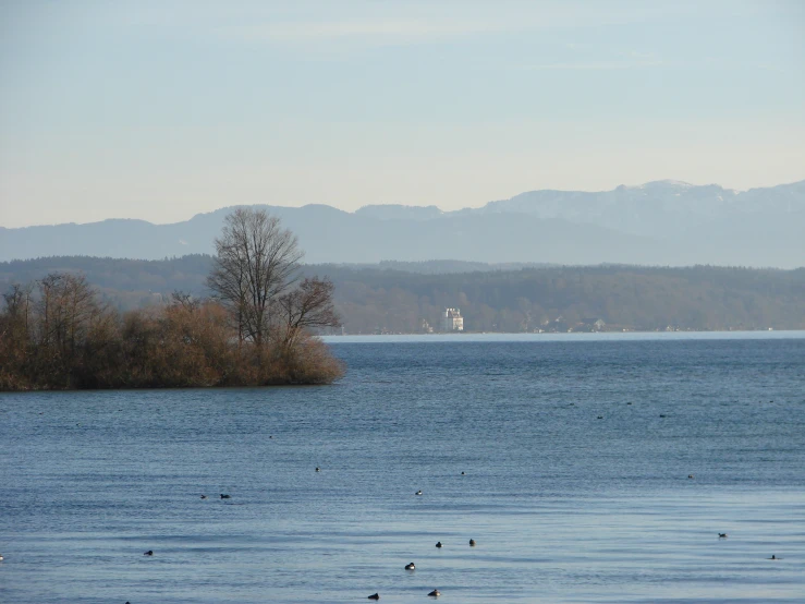 a large body of water with trees and mountains in the background