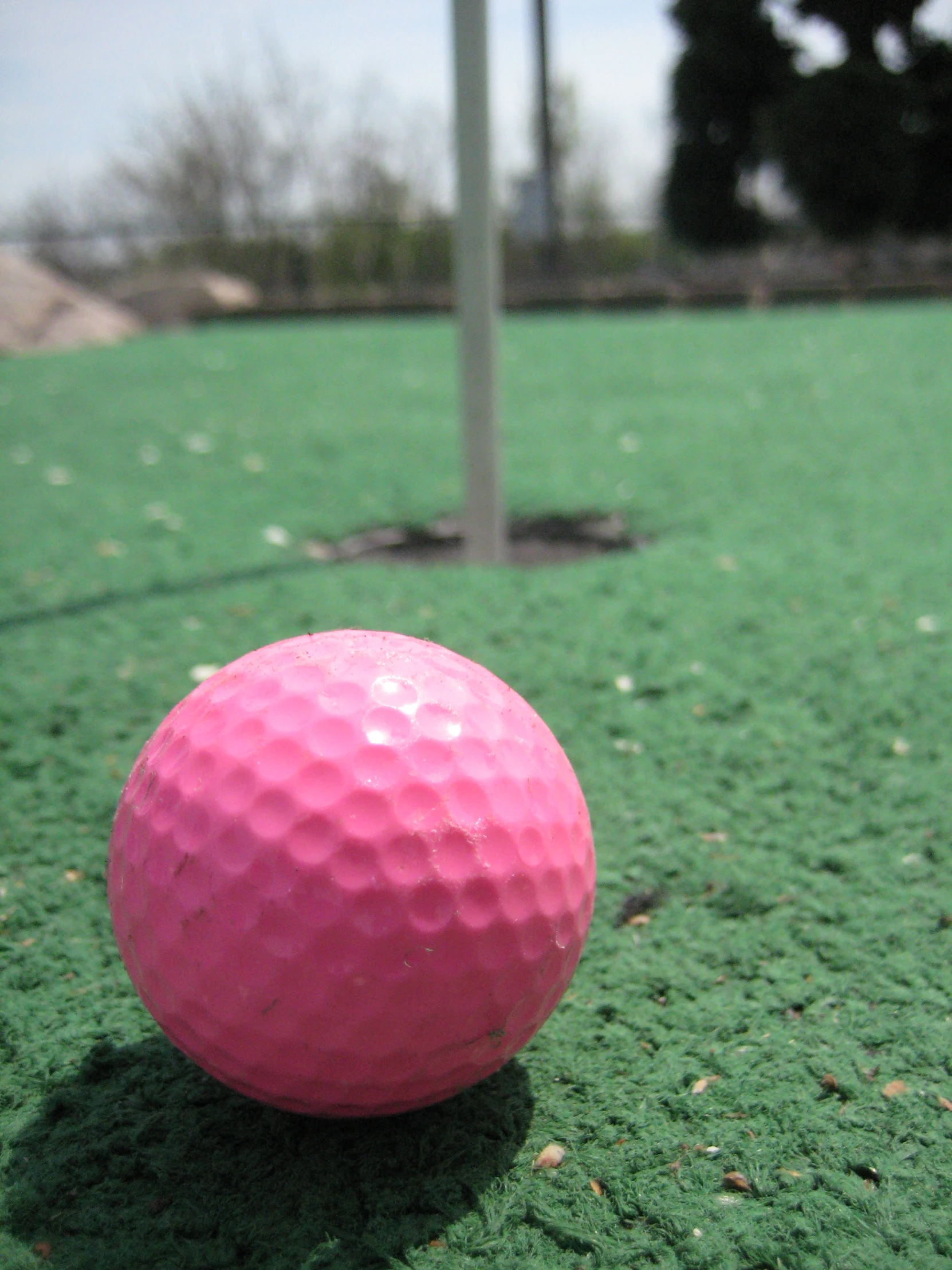 pink golf ball on green surface with a tee in background