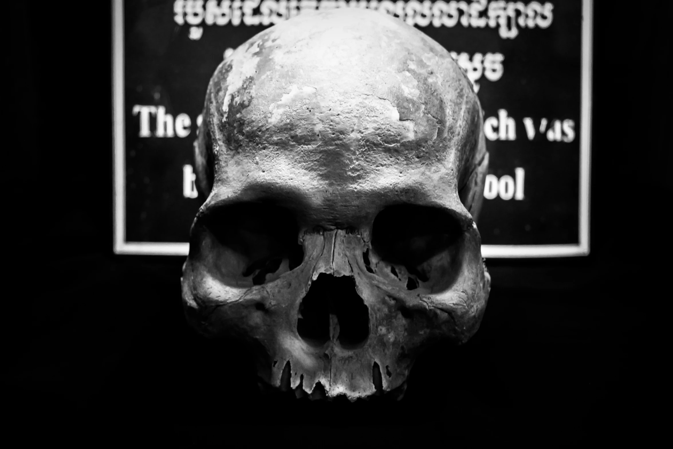 there is a skull that looks very old