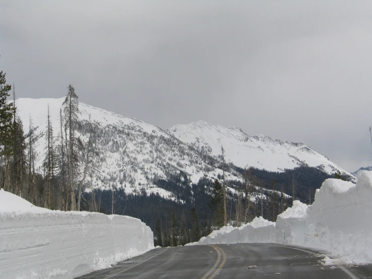 a mountain road with trees on both sides and snowy ground