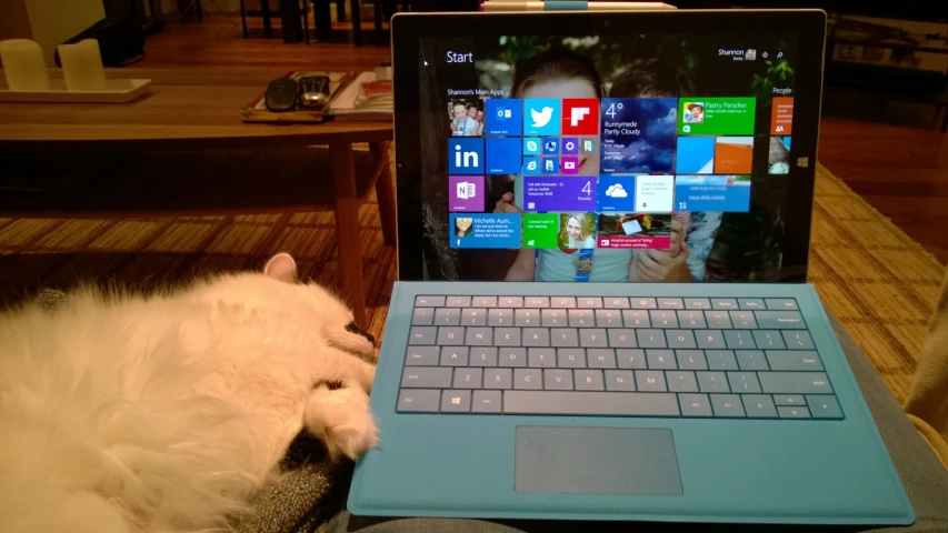 the cat is laying next to the laptop keyboard