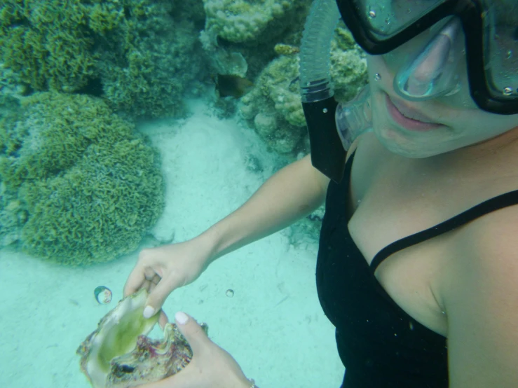 a woman scubas underwater with her hand holding an object