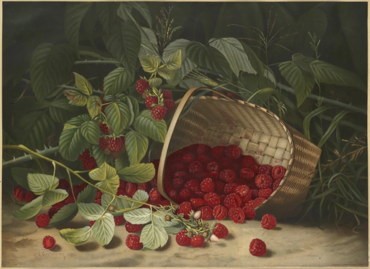 a painting of strawberries in a basket on a table