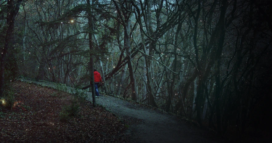 the man is on the path in the dark woods