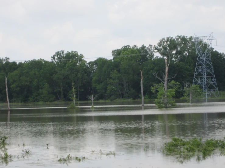 a flooded field with water in the foreground and trees in the background