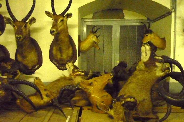 several animals sitting on a shelf in front of a wall