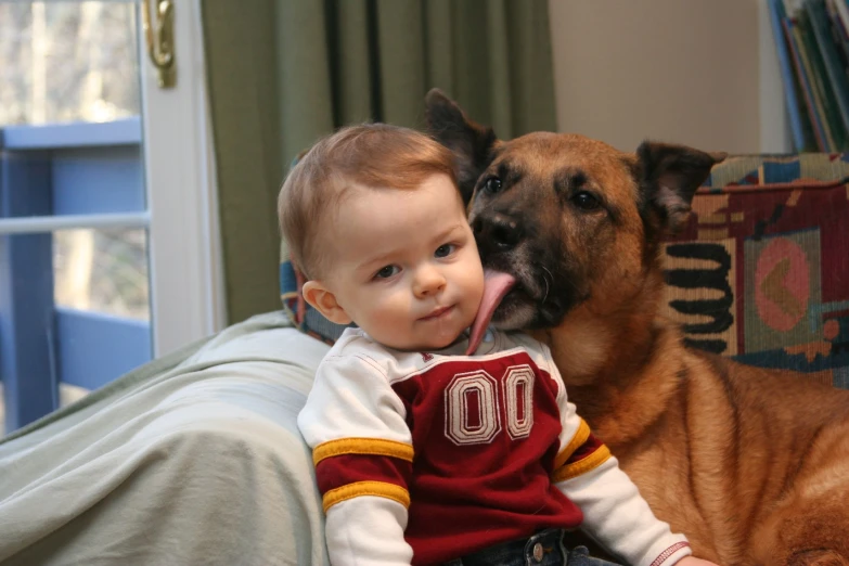 a baby is holding on to a large dog