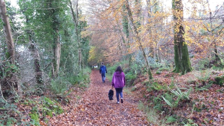 people are walking down the trail in autumn