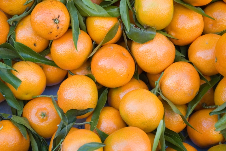 oranges with green leaves are piled up and waiting to be sold