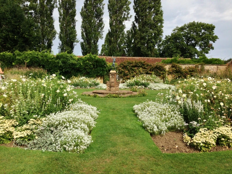 white flowers with a fountain in the middle