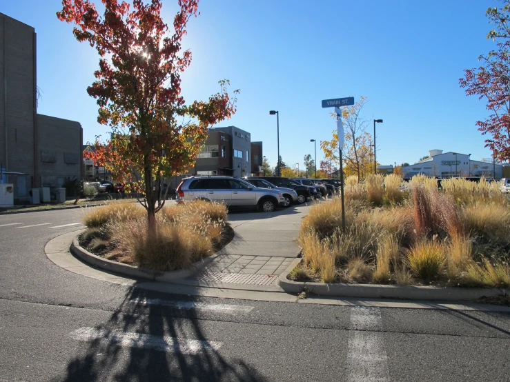 several cars parked in parking spaces next to trees