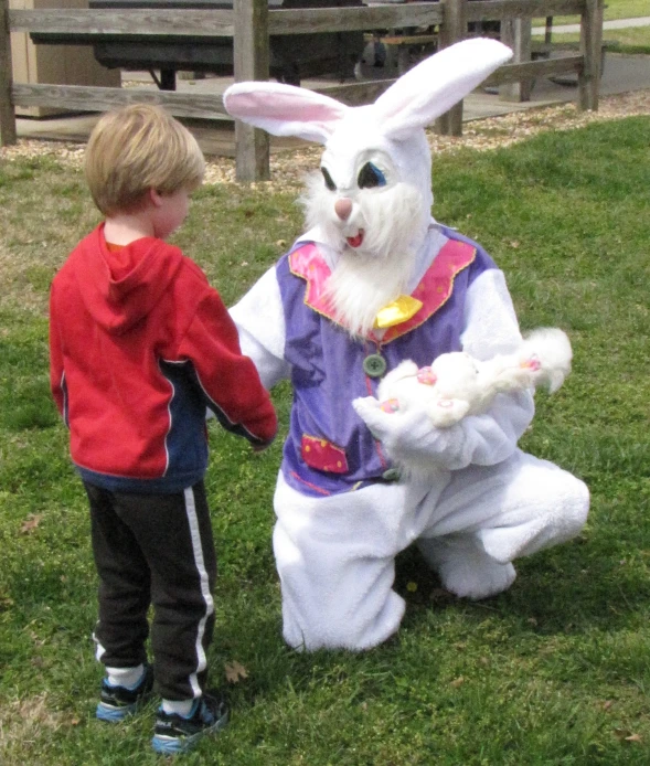 a boy with a costume and a bunny