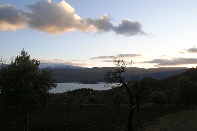 landscape image of trees and mountains with sun coming up over a body of water