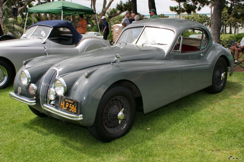 two very nice looking cars parked by some trees