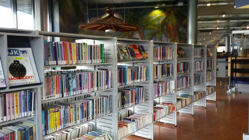 many books are lined up on shelves in the liry