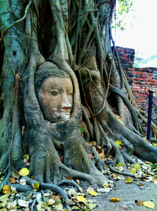 an outdoor statue in the nches of a tree