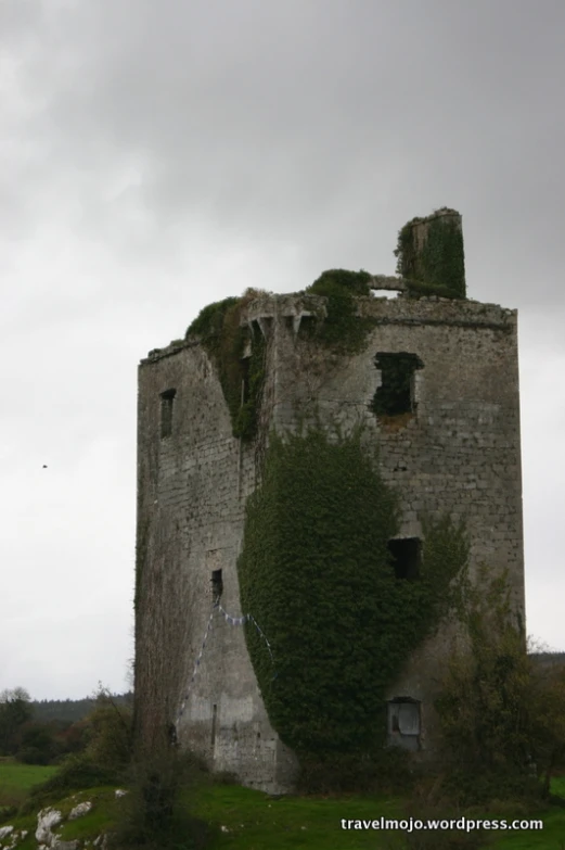 a large tower with a bunch of green plants growing on it