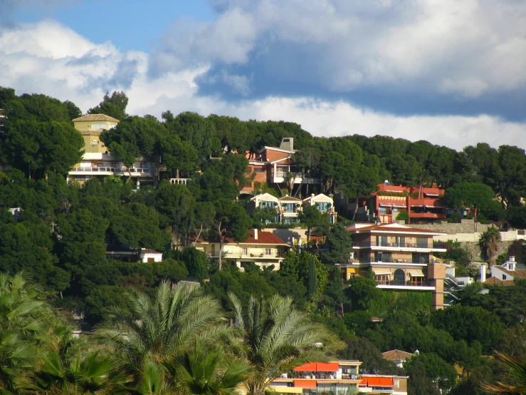 houses sit on top of a mountain among many trees