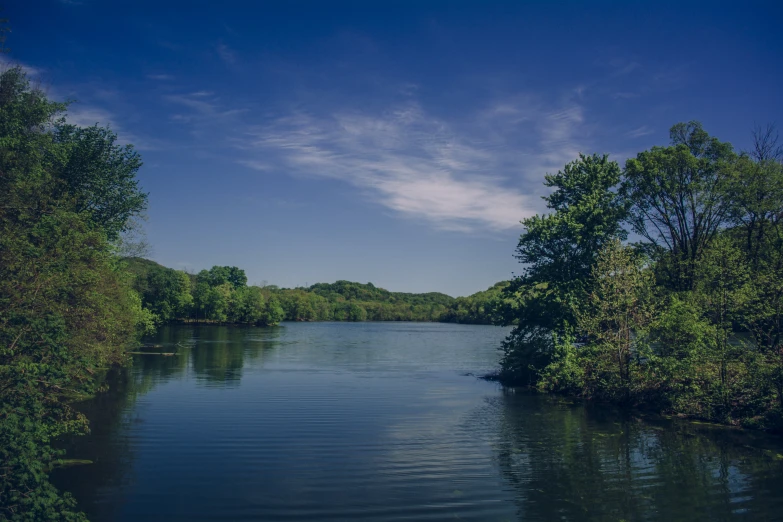 a body of water surrounded by trees