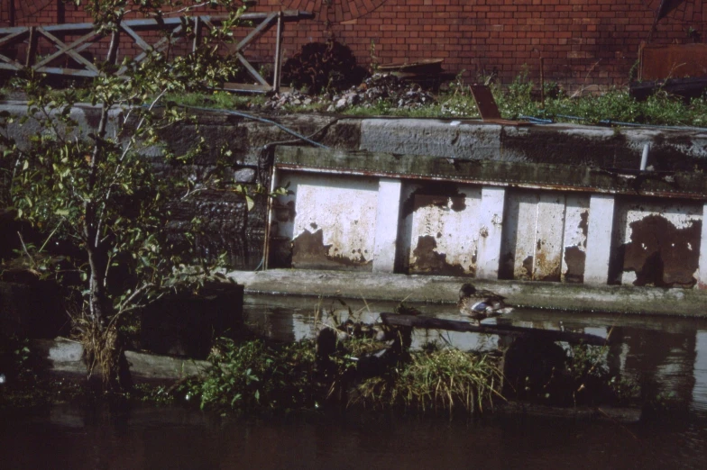 some windows on an old house in water