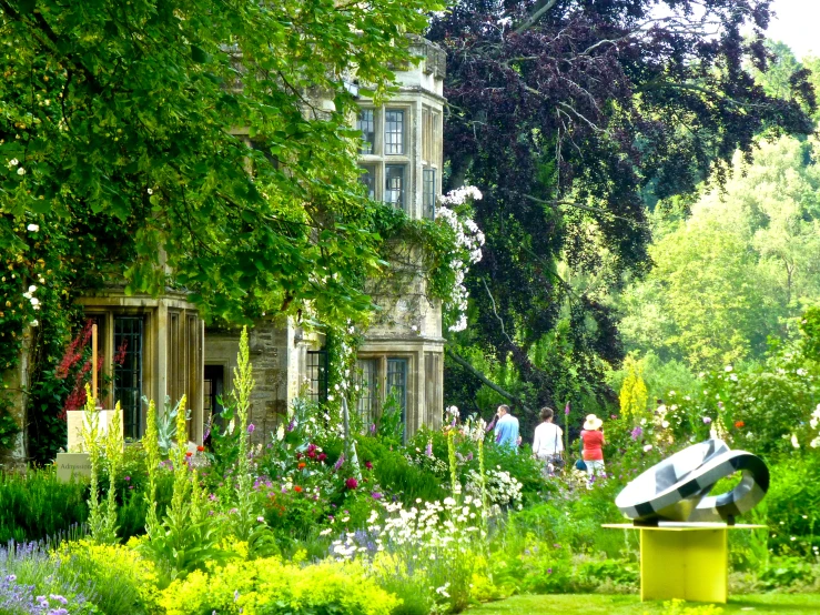 a group of people walking around a lush green park