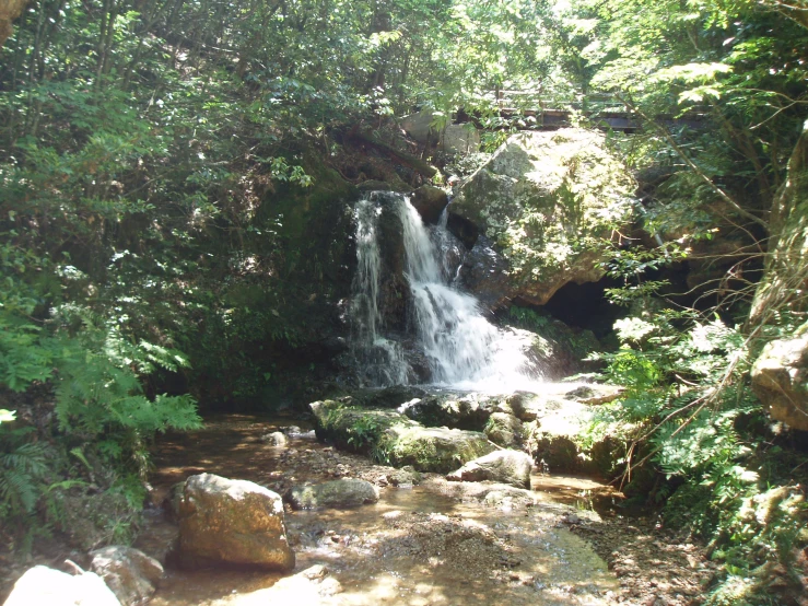 a small waterfall coming from between some trees and rocks