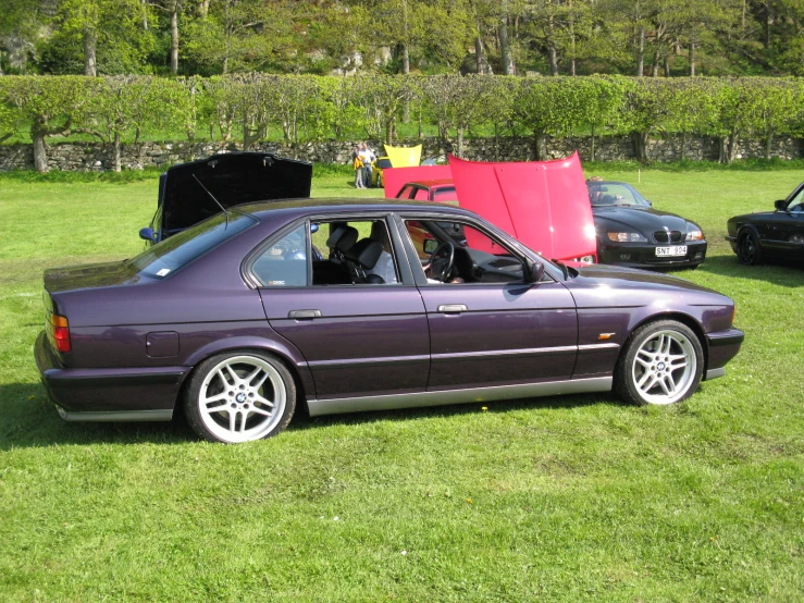 a purple car parked in a grassy field