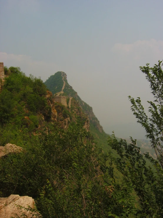 the cliff side of a mountain surrounded by trees