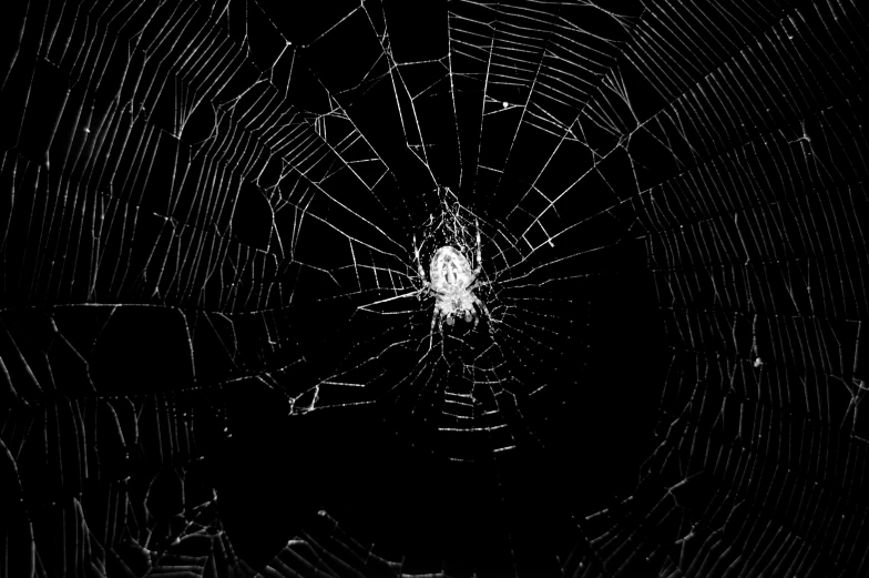 a spider web, with the light in the middle