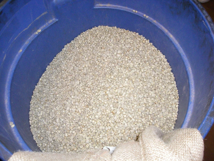 a blue bowl containing a mix of oatmeal grains