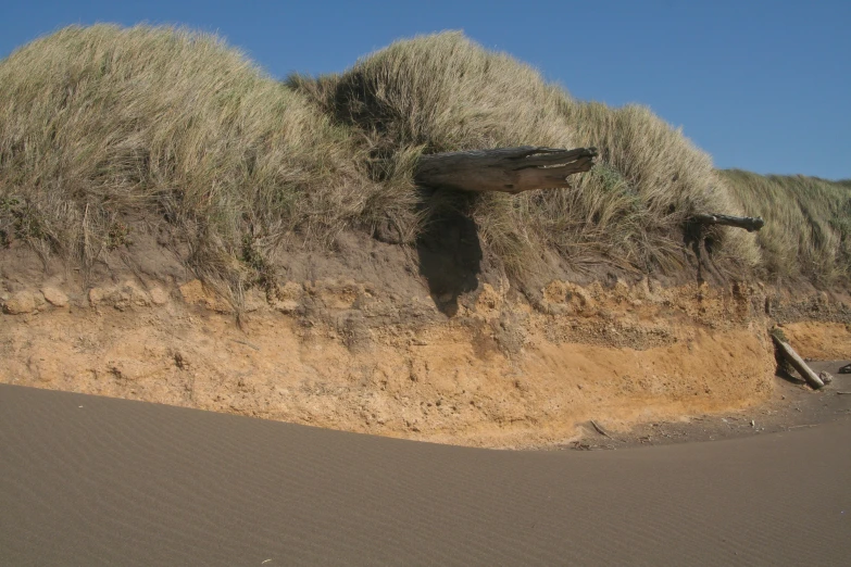 a pile of grass in the sand near dirt