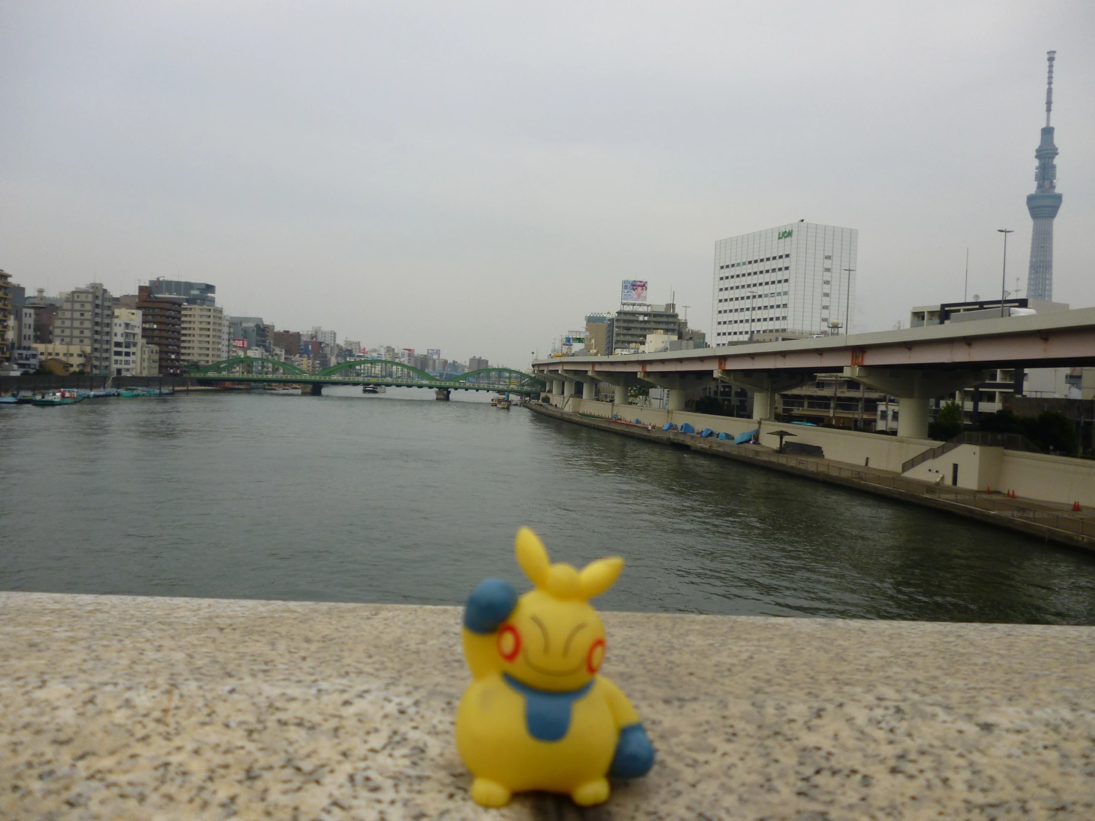 a stuffed pikachu next to the river with buildings in the background