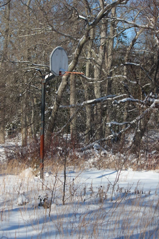 a basketball hoop in a field with a tree in the background