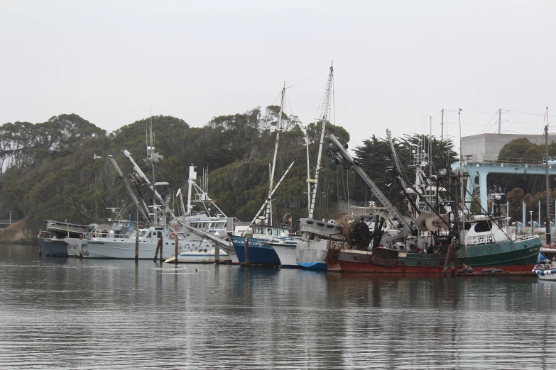 a fleet of boats parked in a harbor