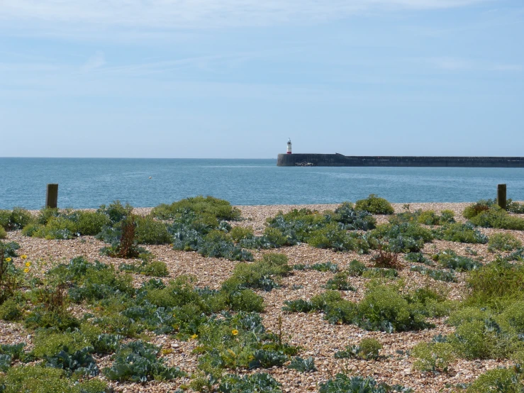 a large ocean is shown with a ship in the distance