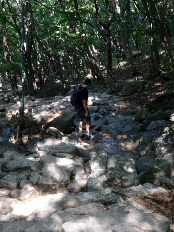 a person is hiking through rocks with trees in the background